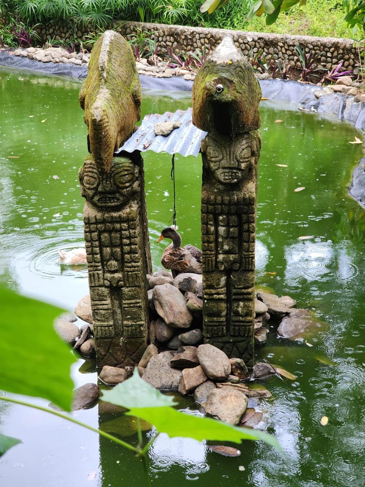 Hotel Diuwak Dominical Zewnętrze zdjęcie